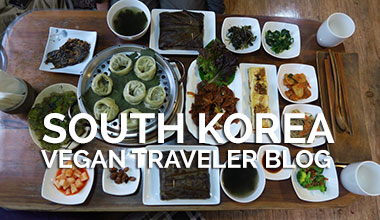 South Korea Vegan Travel Blog