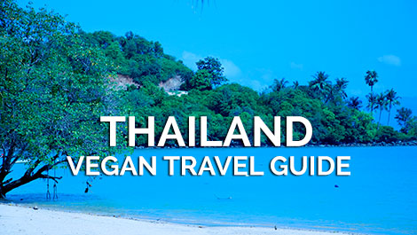 Thailand Vegan Travel Guide