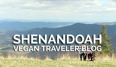 Camping in Shenandoah - Vegan Traveler Blog