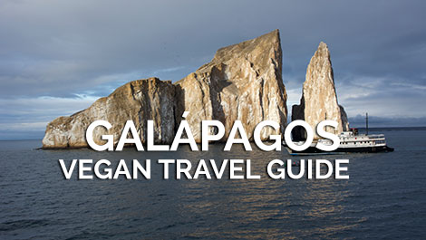 Galapagos Vegan Travel Guide