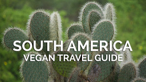 South America Vegan Travel Guides