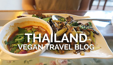 Thailand Vegan Travel Blog Roundup