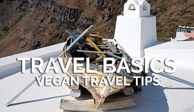 Vegan Travel Basic Tips