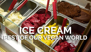 Best Vegan Ice Cream Parlors