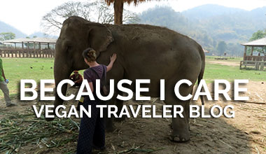 Vegan Travel Blog - Because I Care