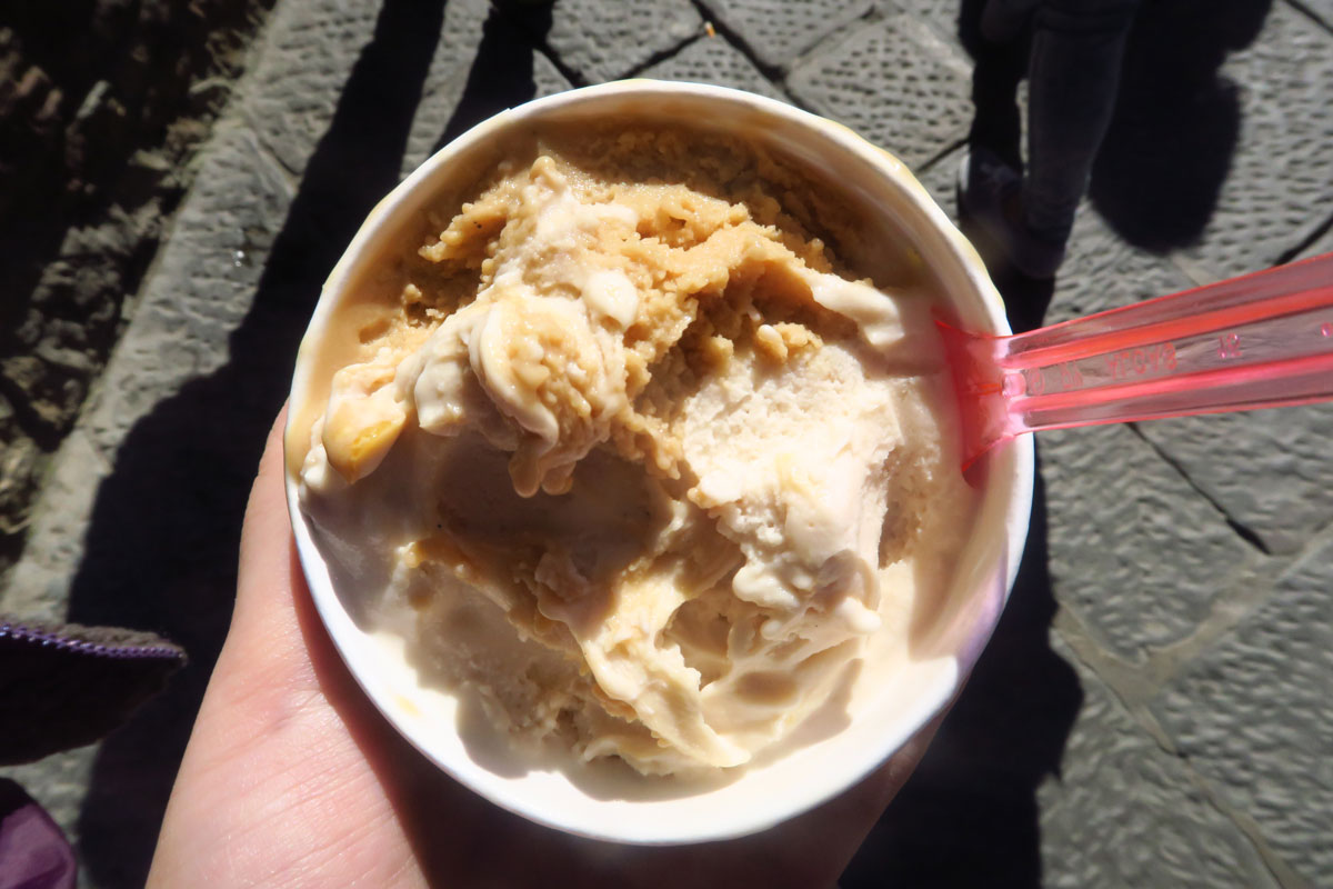 Vegan Europe - Vegan Ice Cream - Vegan Traveler Blog