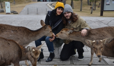 Vegan Travelers Cody & Giselle - Vegan Travel Vegan Travelers Cody & Giselle - Vegan Travel