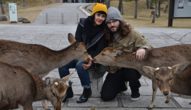 Vegan Travelers Cody & Giselle - Vegan Travel