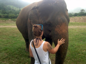 Vegan Traveler Blog - Elephant Nature Park