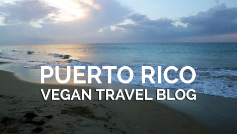 Puerto Rico Vegan Travel Blog - Vegan Travel