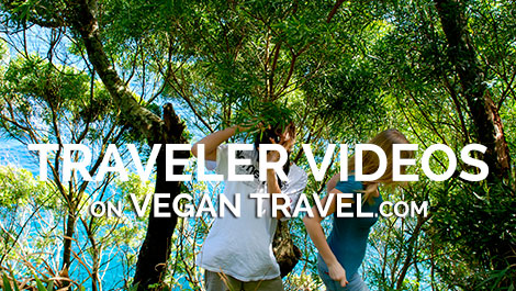 Vegan Traveler Videos on VeganTravel.com