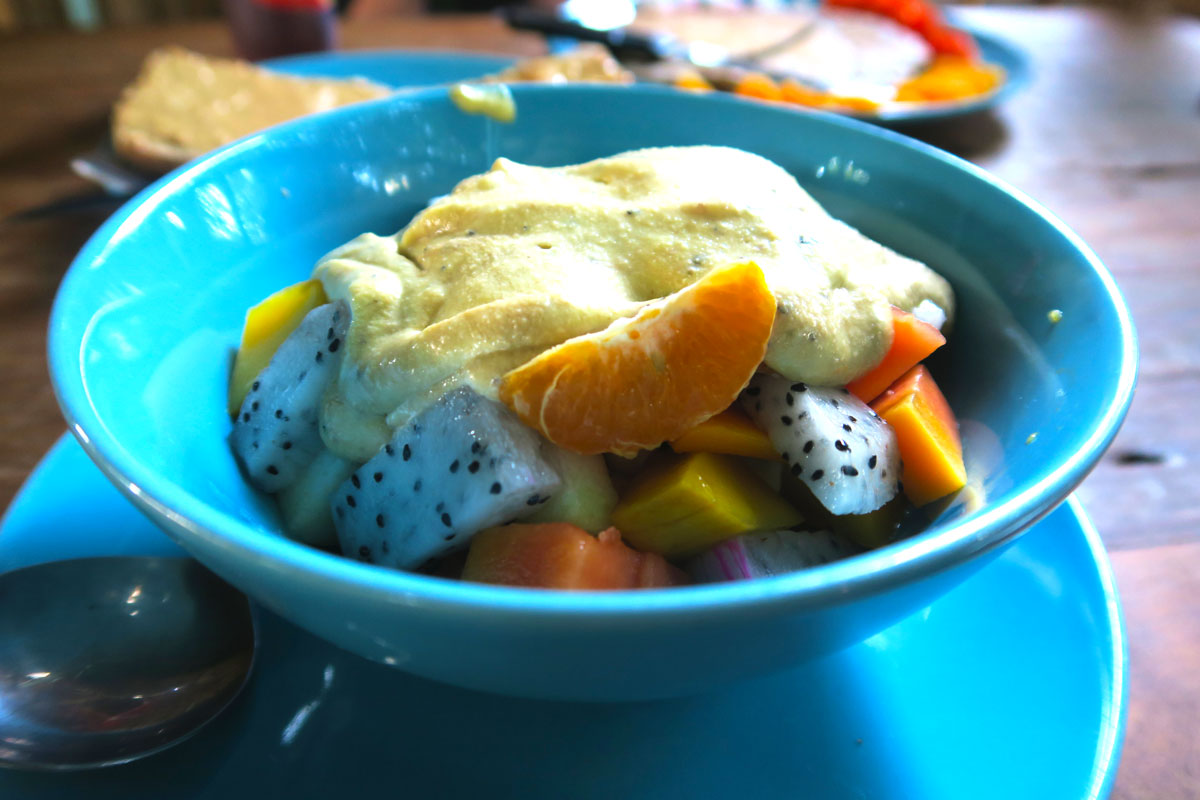 Vegan World Roundup - Fruit Bowl - Vegan Traveler Blog