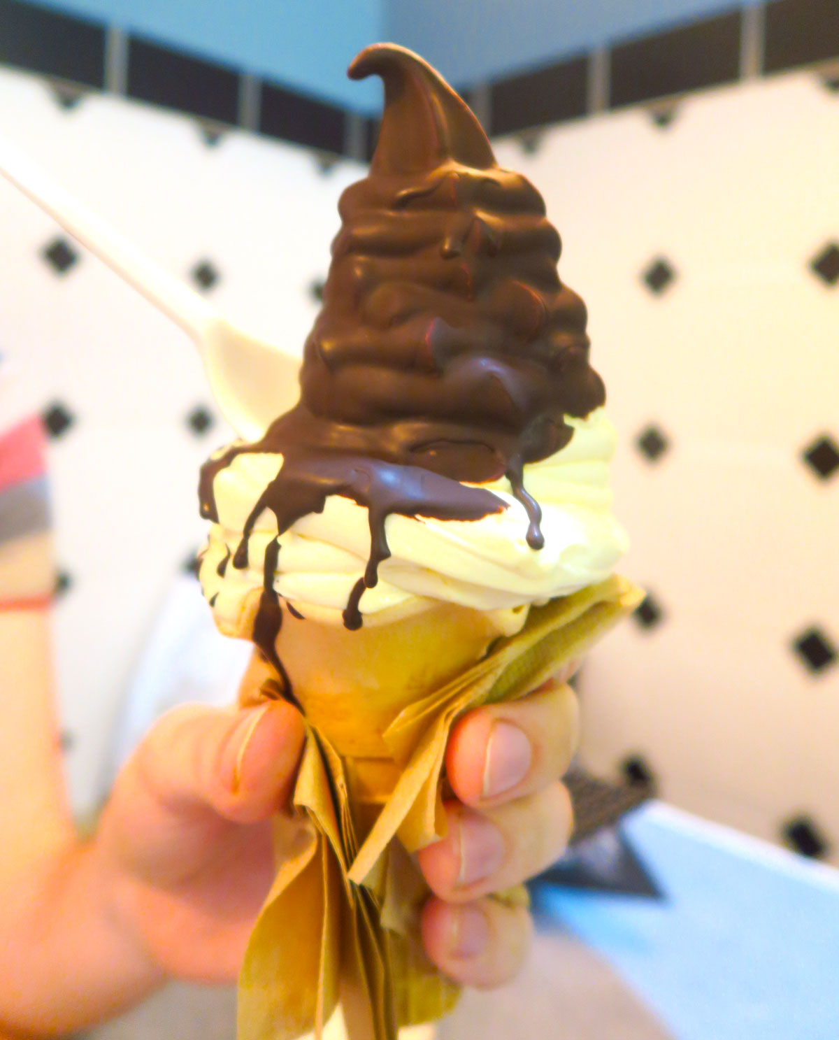 Vegan World Roundup - Ice Cream - Vegan Traveler Blog