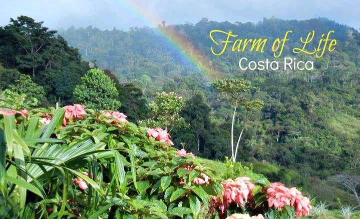 costa rica vegan tour