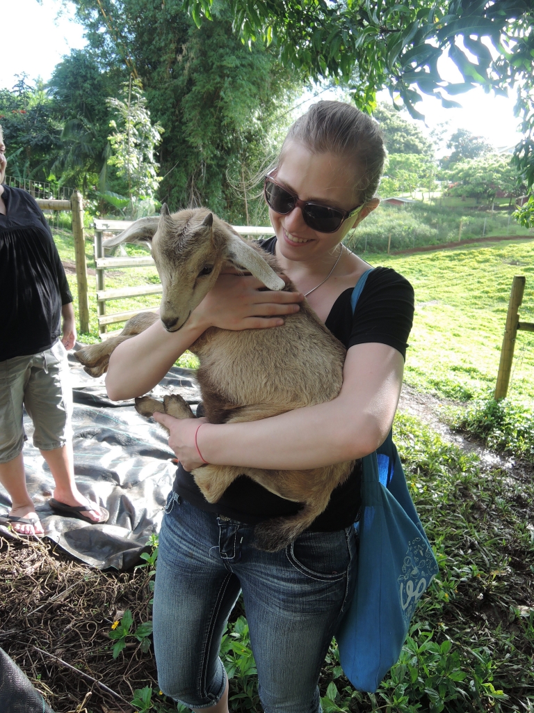 2016:06:02 Haiku Maui Hawaii Leilani Farm Animal Sanctuary VeganTravel Michelle Goat