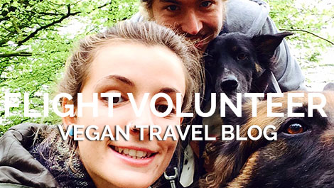 Vegan Traveler Blog - Flight Volunteer - Vegan Travel