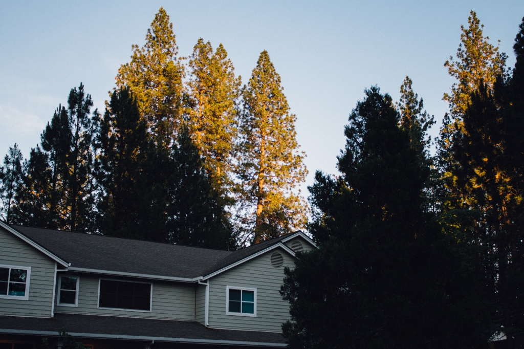 Nevada City Evenings