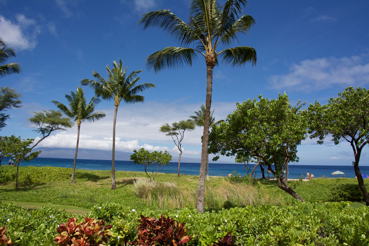 Kaanapali, Maui