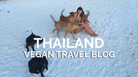 Vegan Traveler Blog - Koh Lipe - Thailand - Vegan Travel