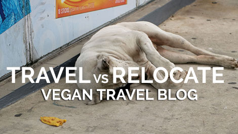 Vegan Traveler Blog - Puerto Rico - Vegan Travel