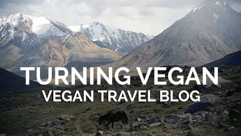 Vegan Traveler Blog - Turning Vegan while Traveling the World