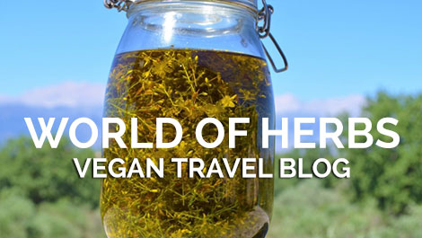 Vegan Traveler Blog - World of Herbs - Vegan Travel