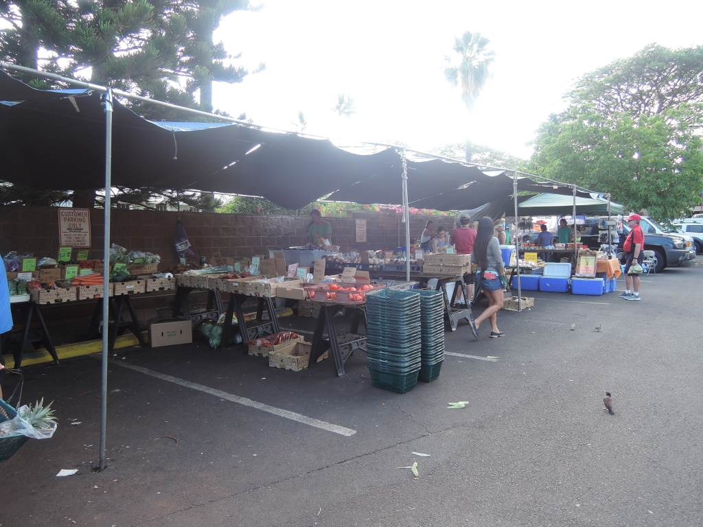 2016:05:25 Maui Hawaii Vegetarian Farmers Market and Deli Outside Market