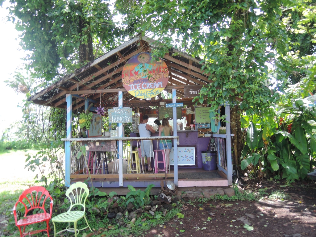 2016:05:26 Maui Hawaii Road to Hana Coconut Glen's Hut