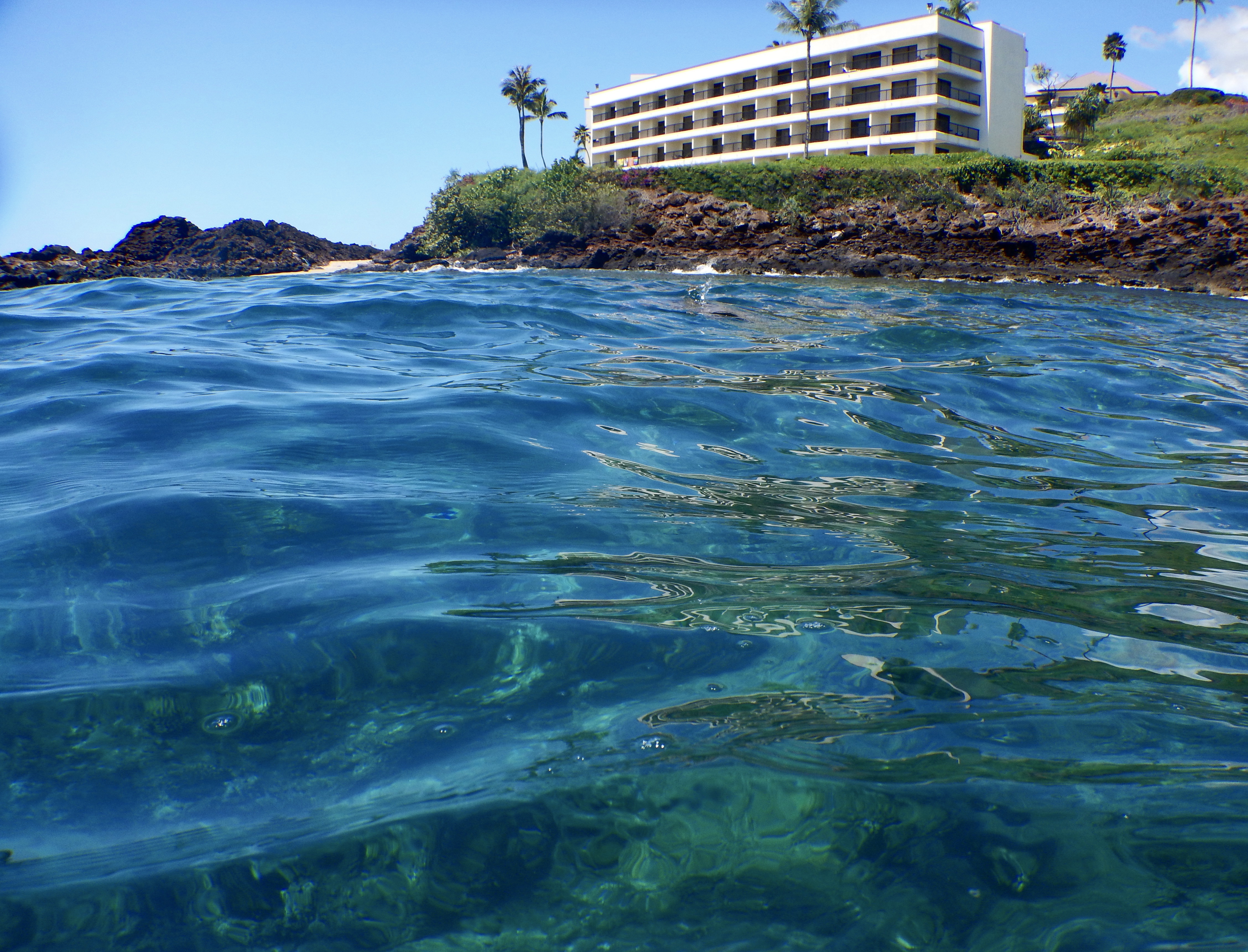 2016:05:29 Kaananpali Black Rock Beach Snorkeling Vegantravel Sheraton Hotel