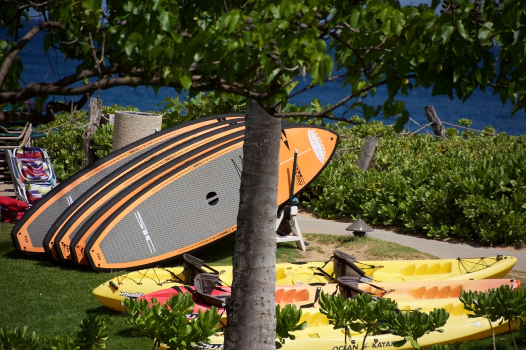 2016:06:01 Kaanapali Maui Hawaii Vegantravel SUP Paddle Boards Kayaks