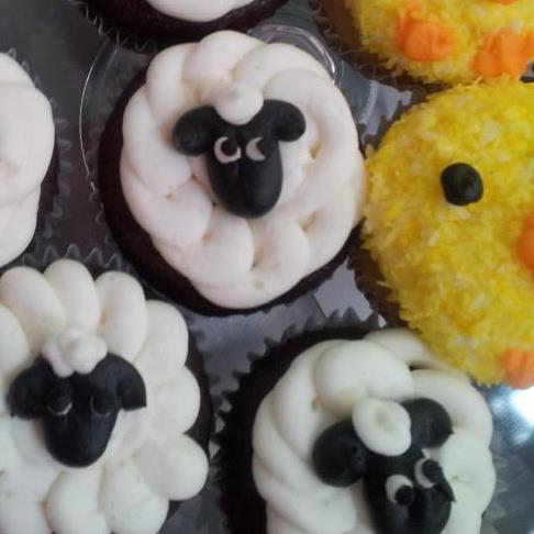 Cakewalk Baking Company & Dillos Vegan Snack Cakes - Vegan Traveller