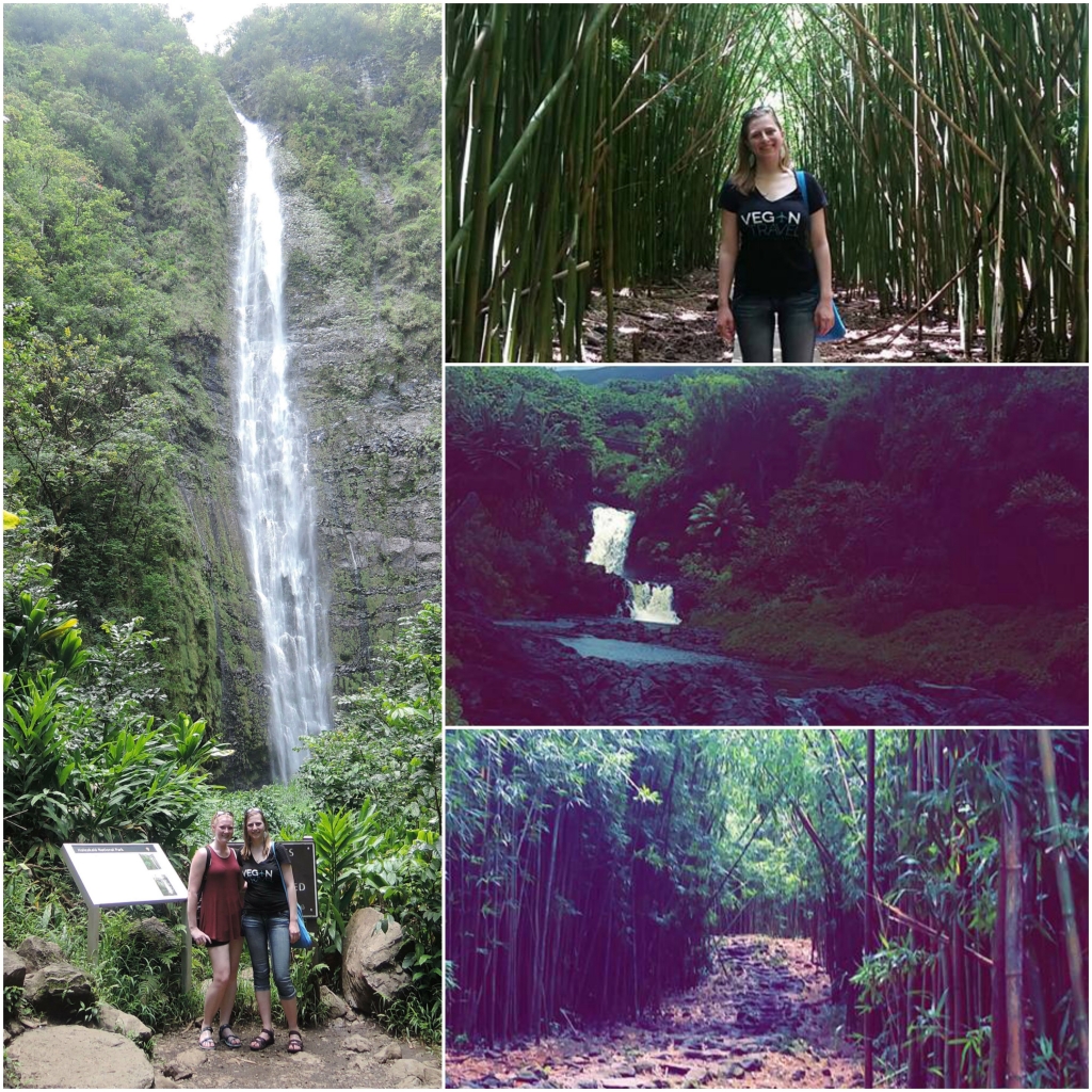 Haleakala National Park Collage Vegantravel