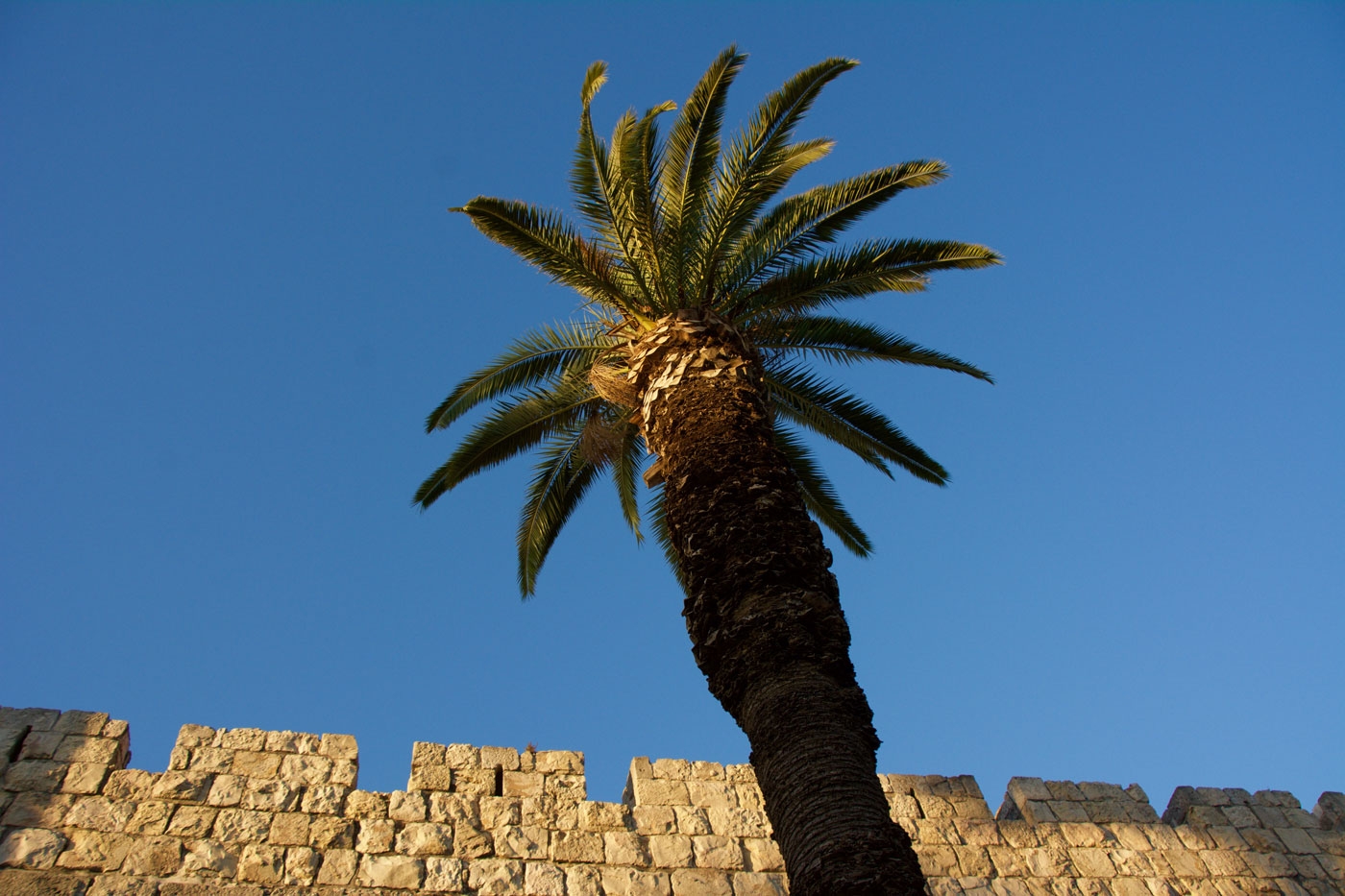 Ottoman Walls (build in the 1500’s) surround the Old City of Jerusalem