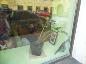 Window of Rada Cafe with the photo of Jim Carrey