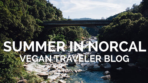 Vegan Traveler Blog - Summer in NorCal - Yuba River - Vegan Travel