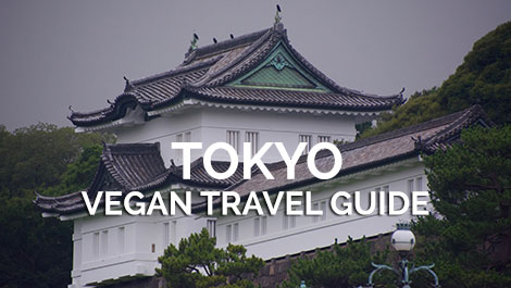 Tokyo Vegan Travel Guide