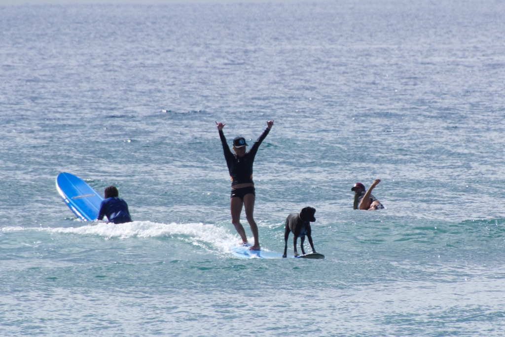 Vegantravel Surfing Maui