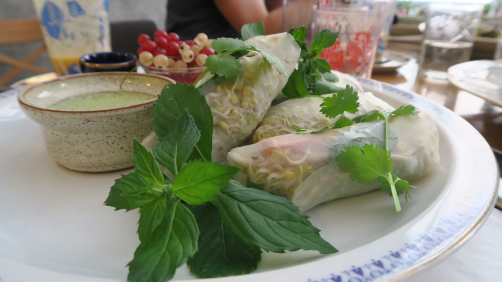 Je Sus_spring rolls1