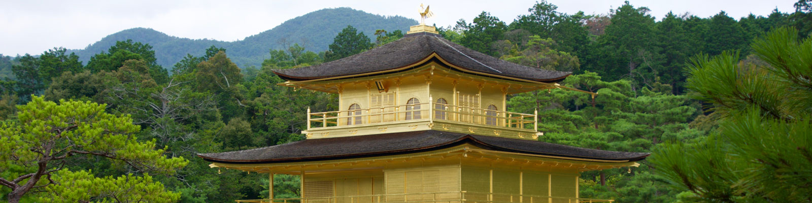 Kyoto Vegan Travel Guide Kyoto Vegan Travel Guide