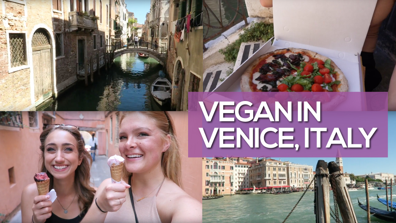 Vegan in Venice, Italy Vegan Traveler Vlog on