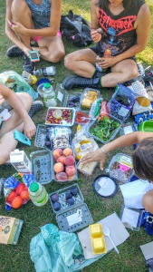 #whatveganseat ! Perfect vegan picnic by the Falls!