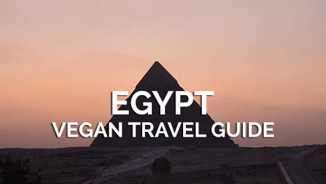 Egypt Travel Guide