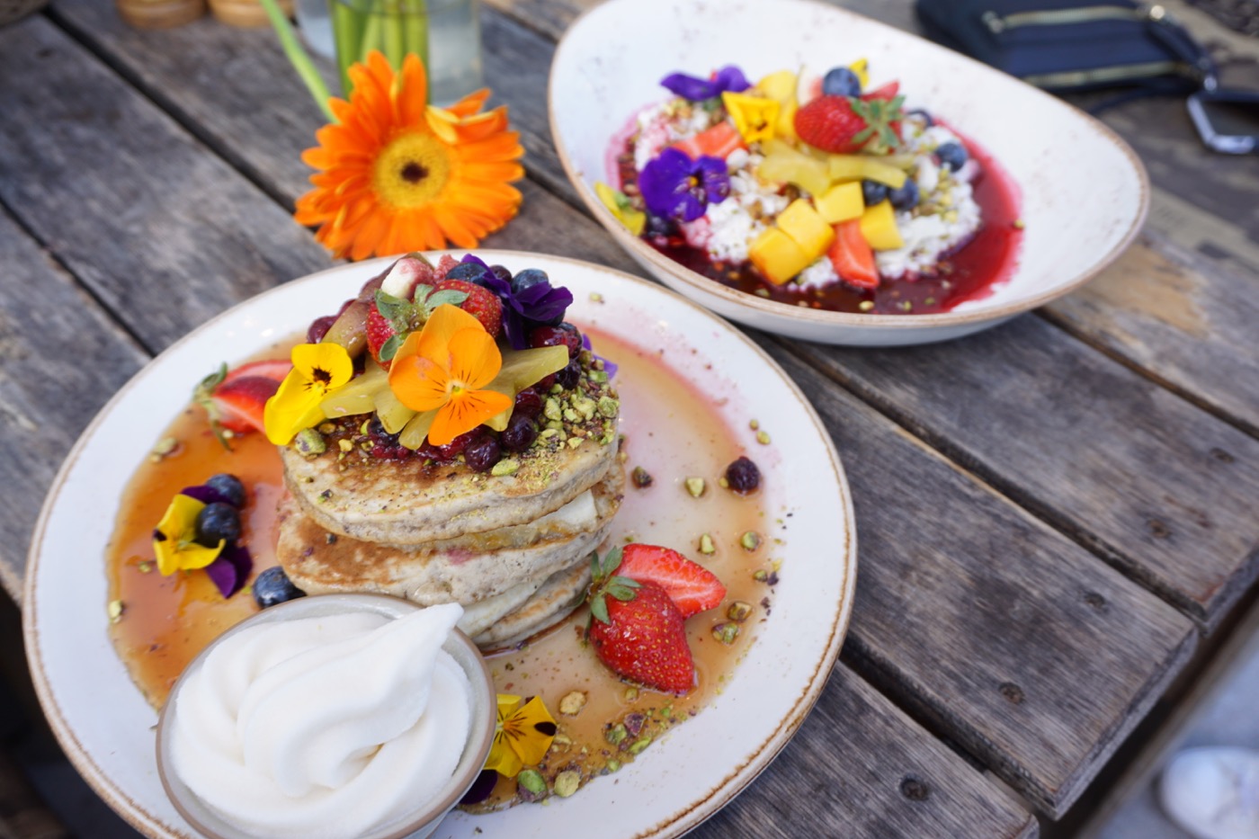 Favorite Vegan Spots Activities In Sydney Vegan Traveler Blog