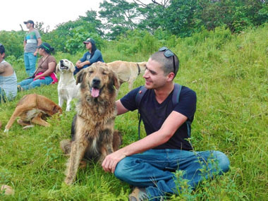 The Land of the Stray Dogs