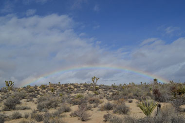 Thanksliving Gratitude from Southern California