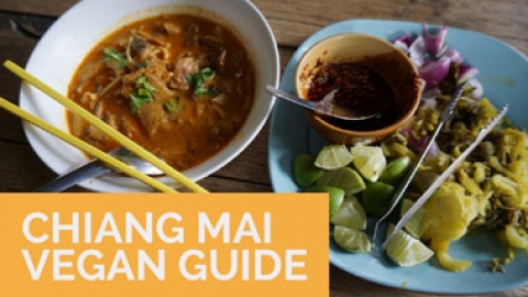 Chiang Mai Vegan Guide