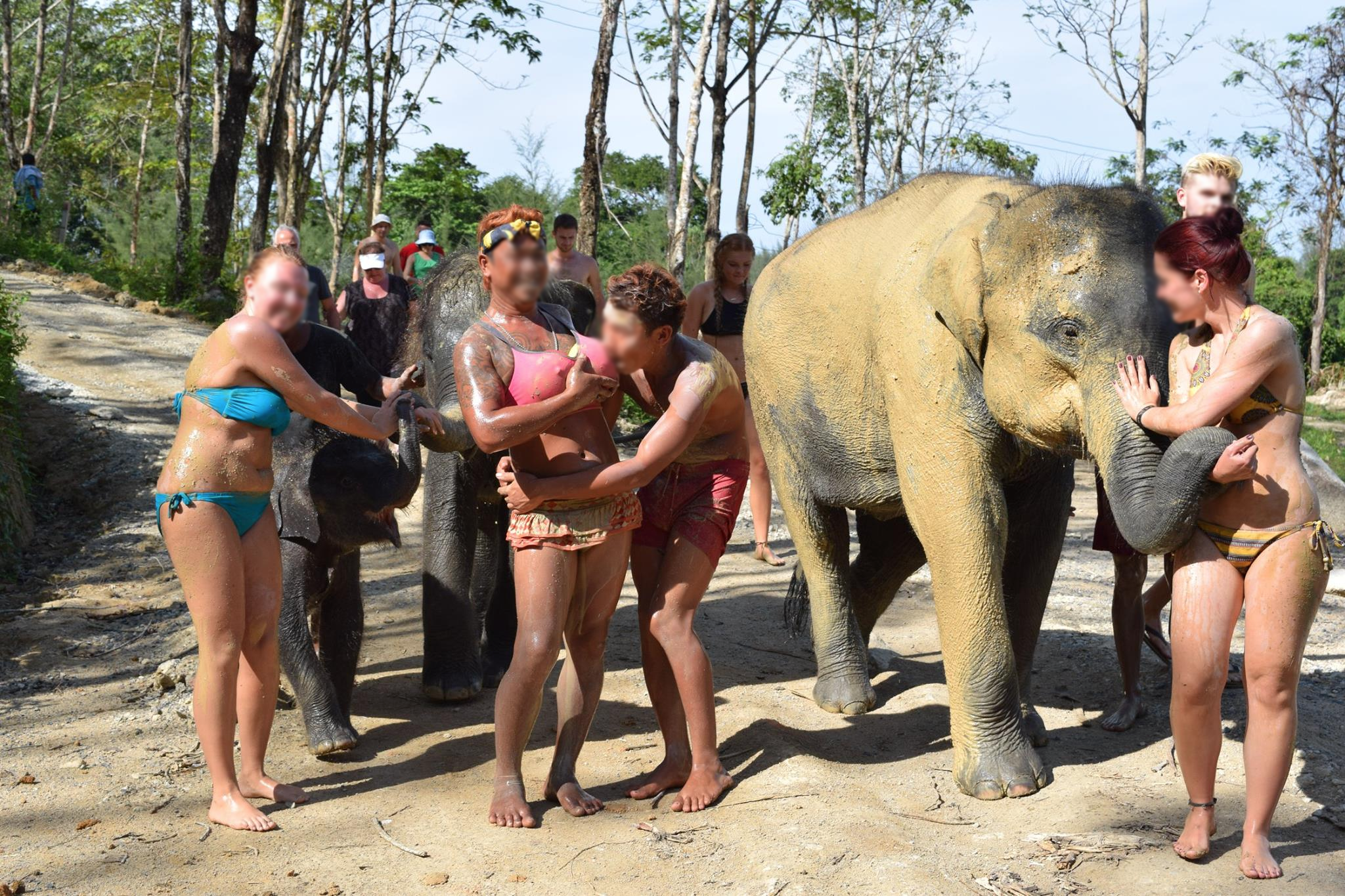 The lady-boy act put on by the men who are supposed to take care of the elephants so that we could get the "full Thai experience".