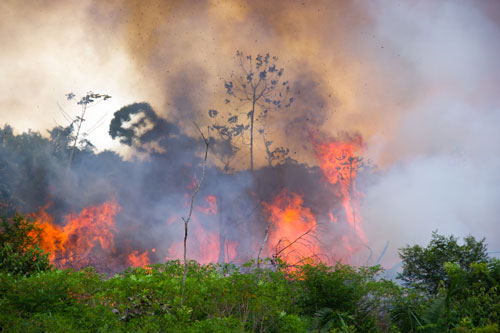 Amazon rainforest burning to open space for pasture.