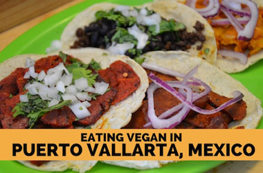 Where to Eat Vegan in Puerto Vallarta Mexico - And a Vegan