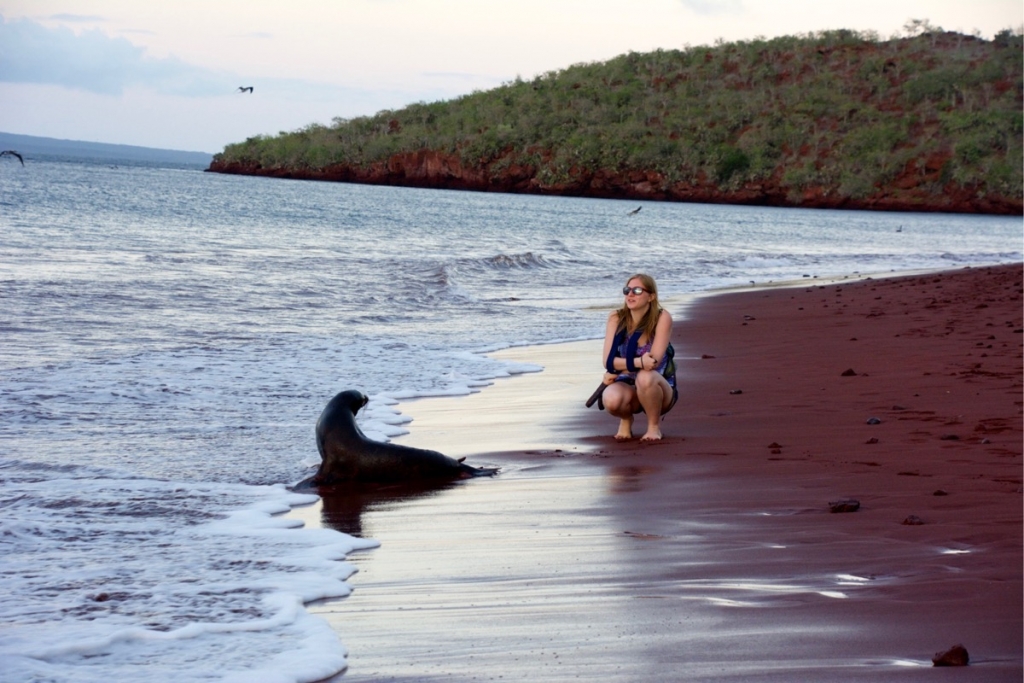 Michelle and a Playful Seal on Rábida Island